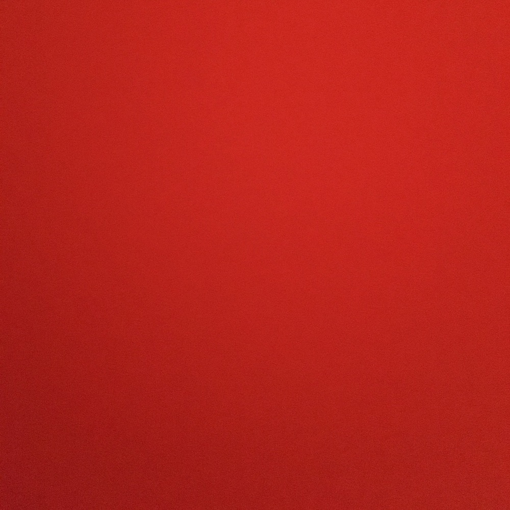 Meet your Posher, Maddie