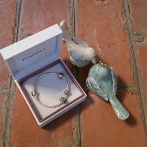 Pandora Bracelet - CHARMS & BOX INCLUDED