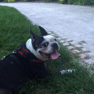 Meet your Posher, Colleen