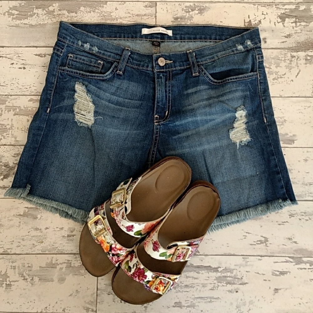 Flying Monkey Size 26 Distressed Jean Shorts