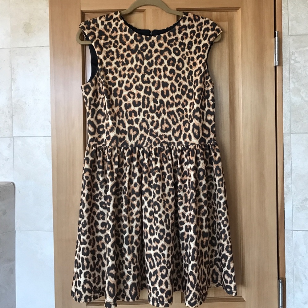 Asos Leopard Fit & Flare Dress
