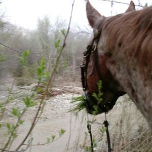 Meet your Posher, Shaunna