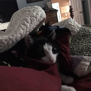 Meet your Posher, Jane