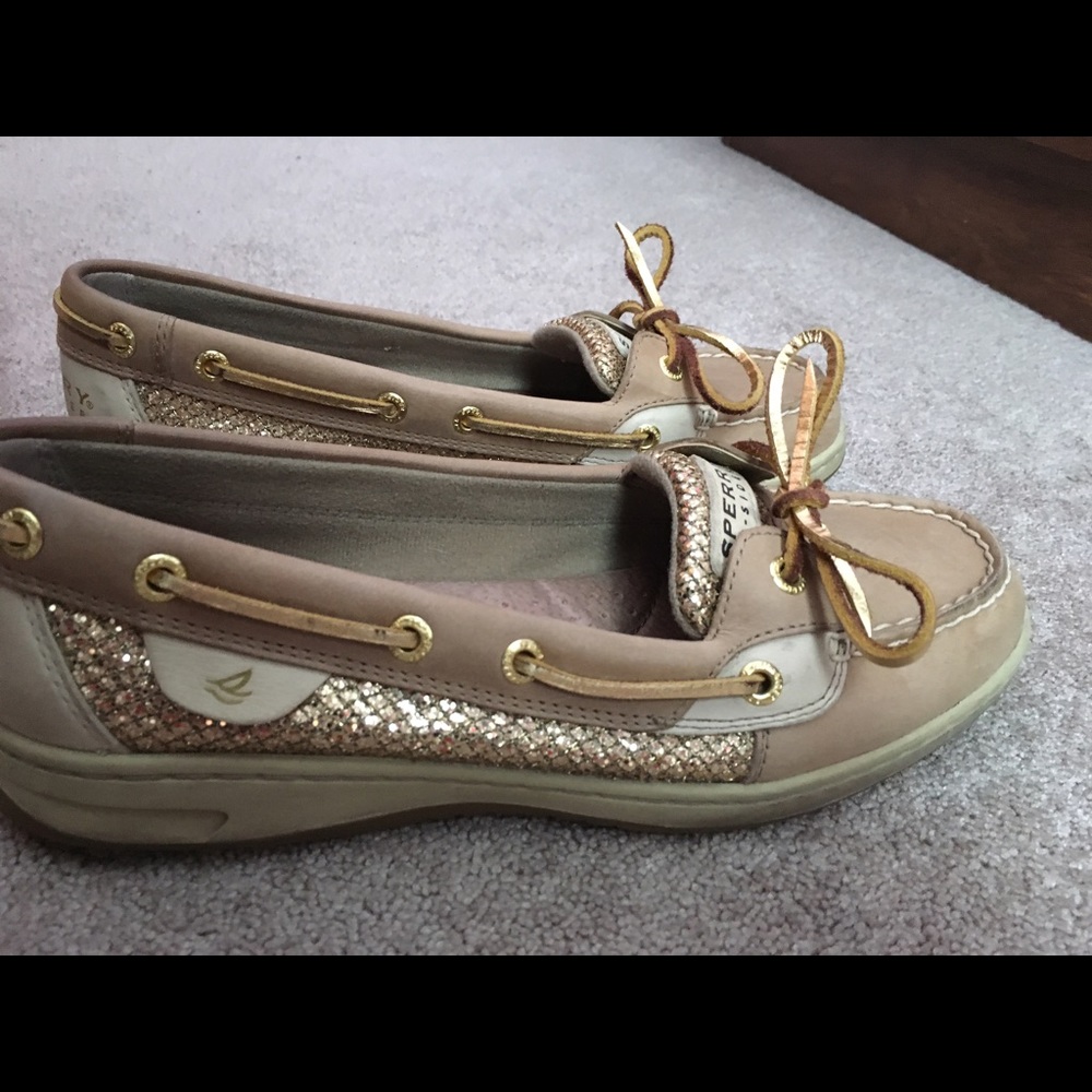 Angelfish Sperry's