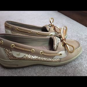 Angelfish Sperry's