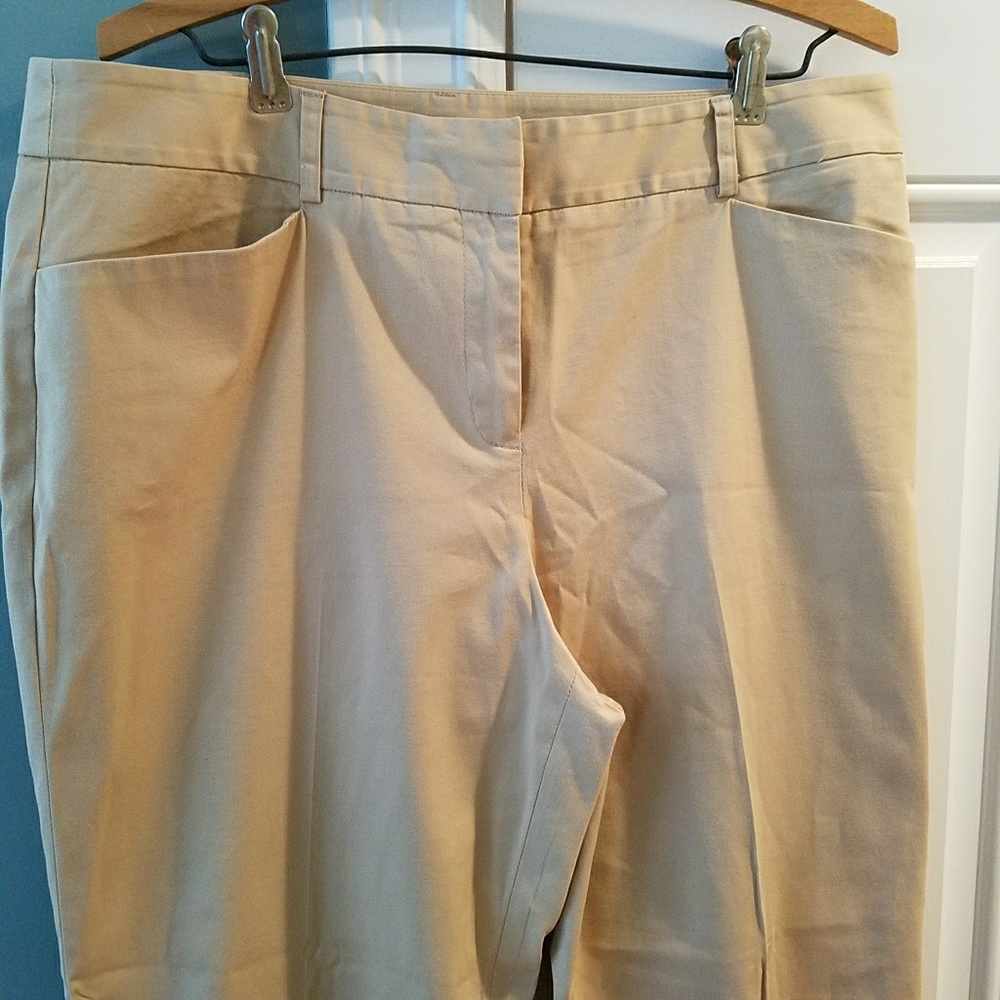 Dress pants