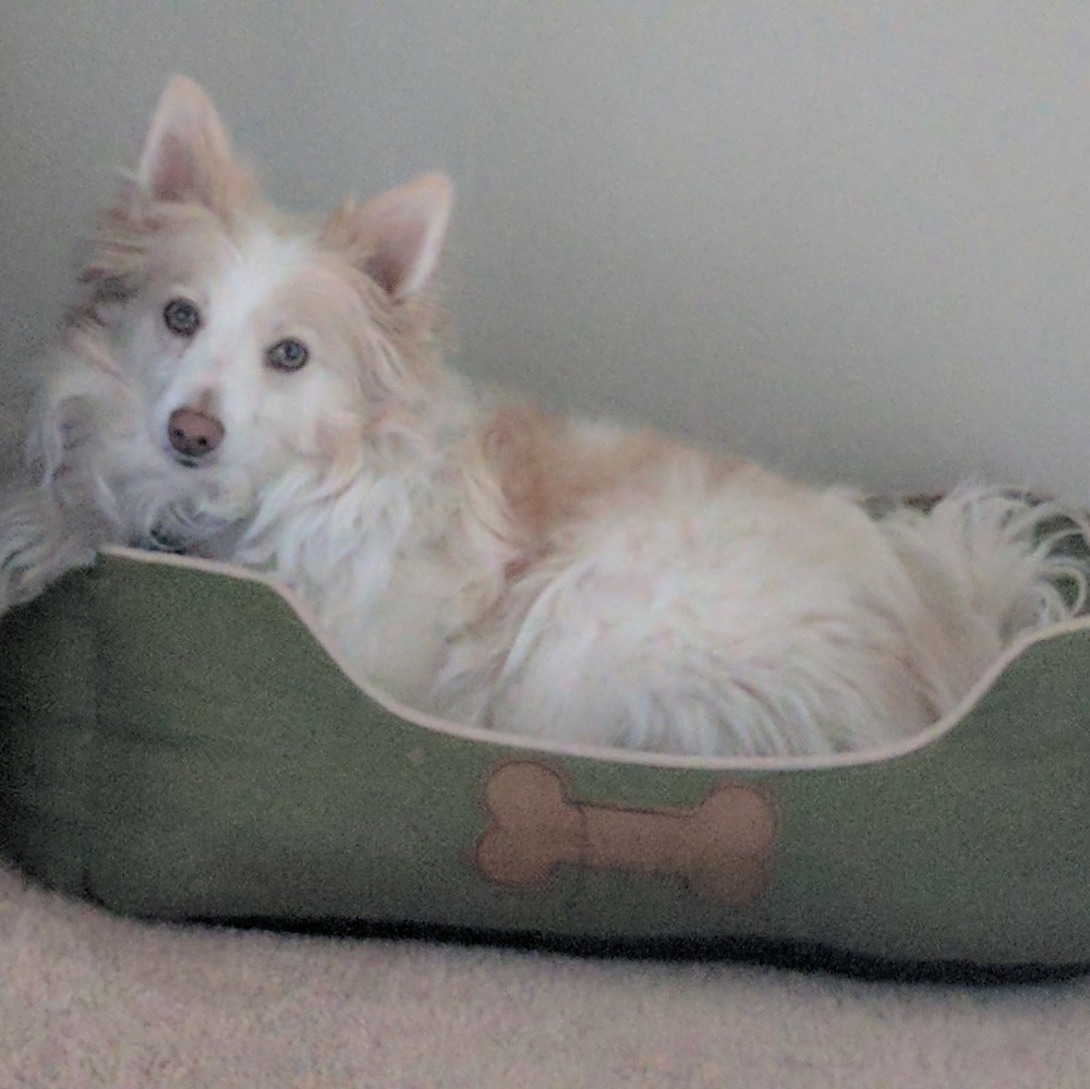 Meet your Posher, Clarissa