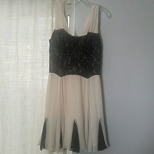 BeBe beige and black lace dress