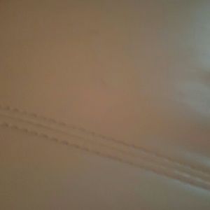 Meet your Posher, Shanta