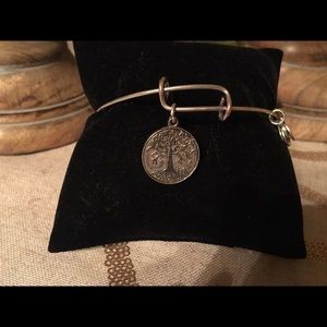 Alex and Ani - Tree of Life