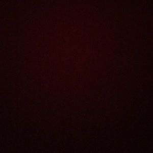 Meet your Posher, Joel