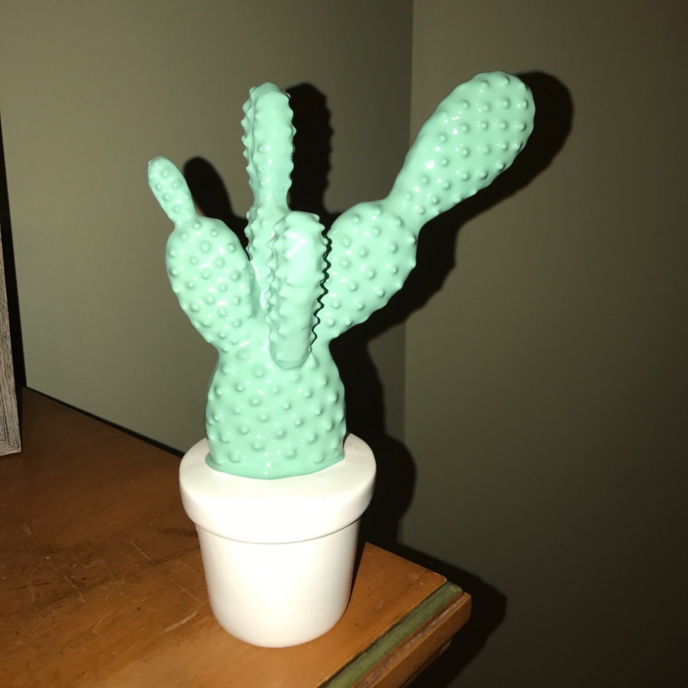 Cactus decor