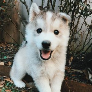 Meet your Posher, Angelle