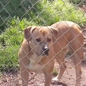 Meet your Posher, Frank