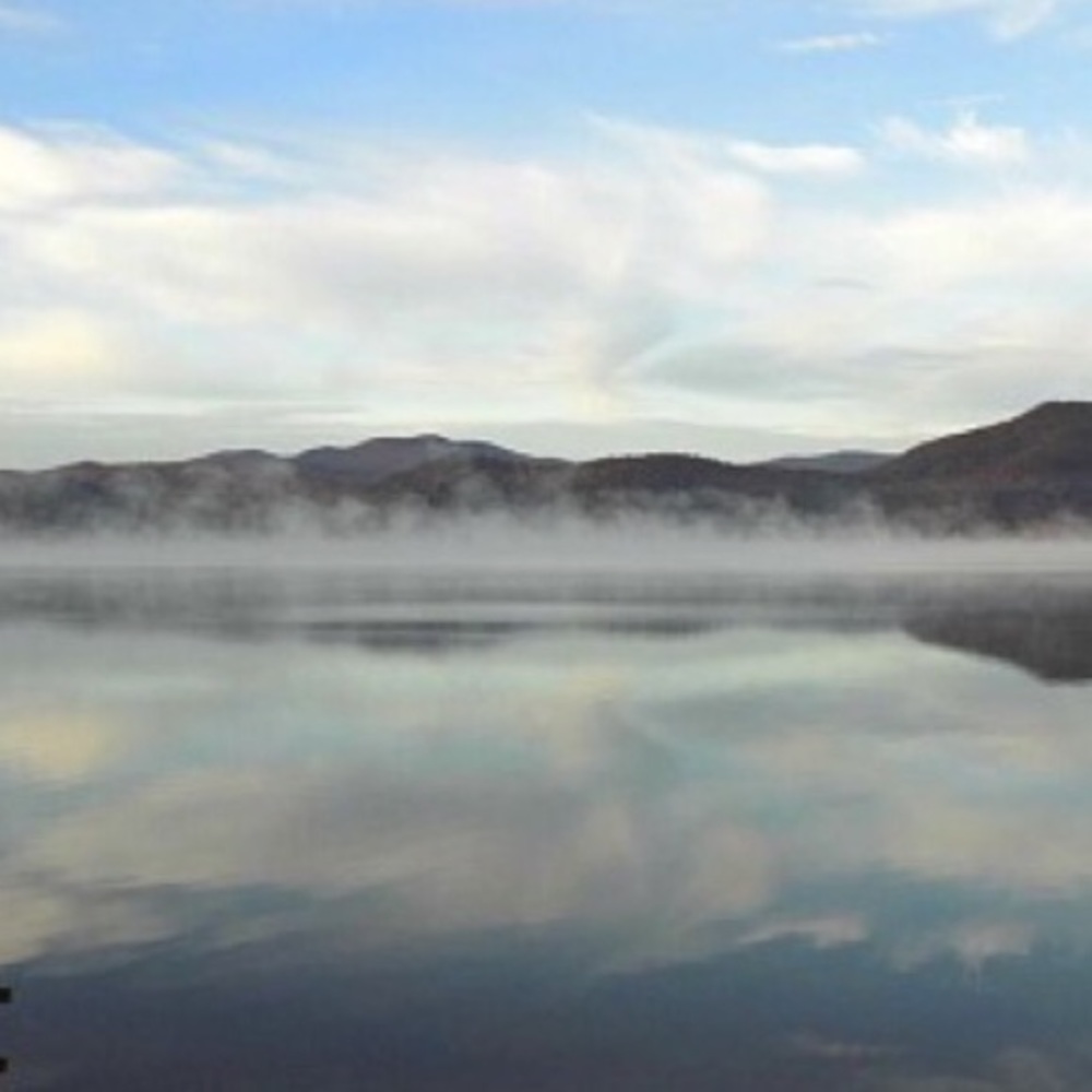 Accepting Offers!!!!