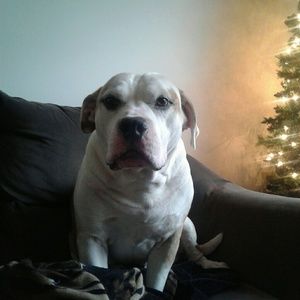 Meet your Posher, Joni