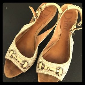 Authentic Dior Shoes