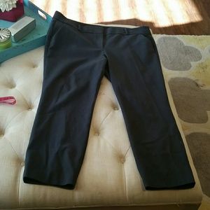 LOFT Marisa skinny crop pants. Size 18