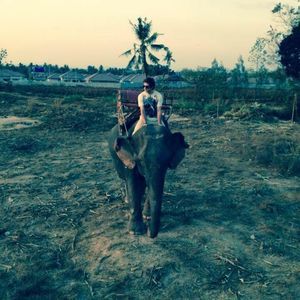 Meet your Posher, Fischer