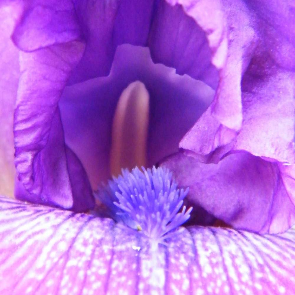 Meet your Posher, Tian