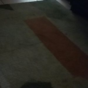 Meet your Posher, Carol