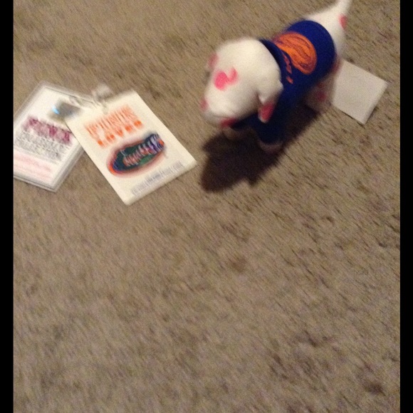 Victoria secret dog college Florida Gators rare vs - Picture 3 of 4