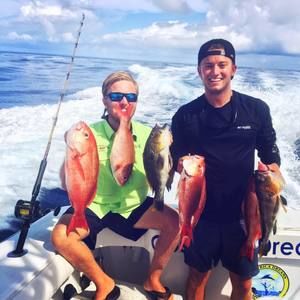 Meet your Posher, Rosco