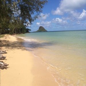 Meet your Posher, Lani