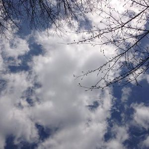 Meet your Posher, Inho