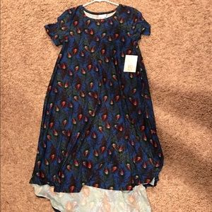 Lularoe Carly XS
