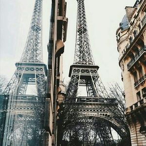 Meet your Posher, Margarita