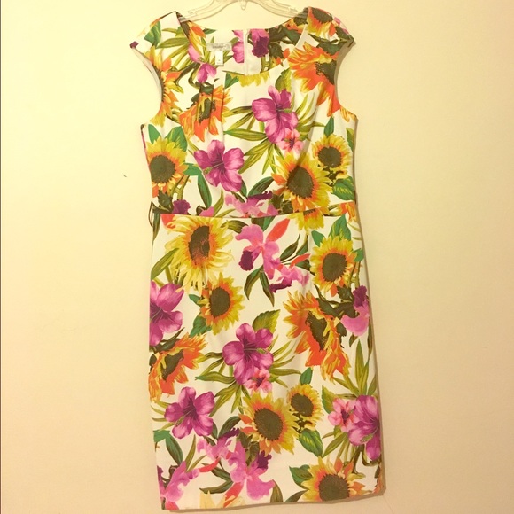 Dress Barn Dresses & Skirts - Dressbarn Dress, 14