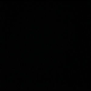 Meet your Posher, Louis