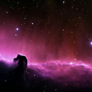 Meet your Posher, Randy