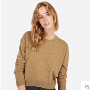 Everlane cashmere crop