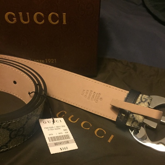 Authentic Beige/Blue Gucci Belt - Picture 2 of 3