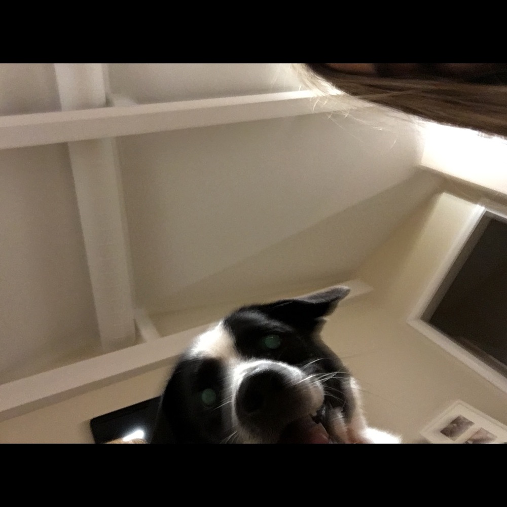 Meet your Posher, Angie