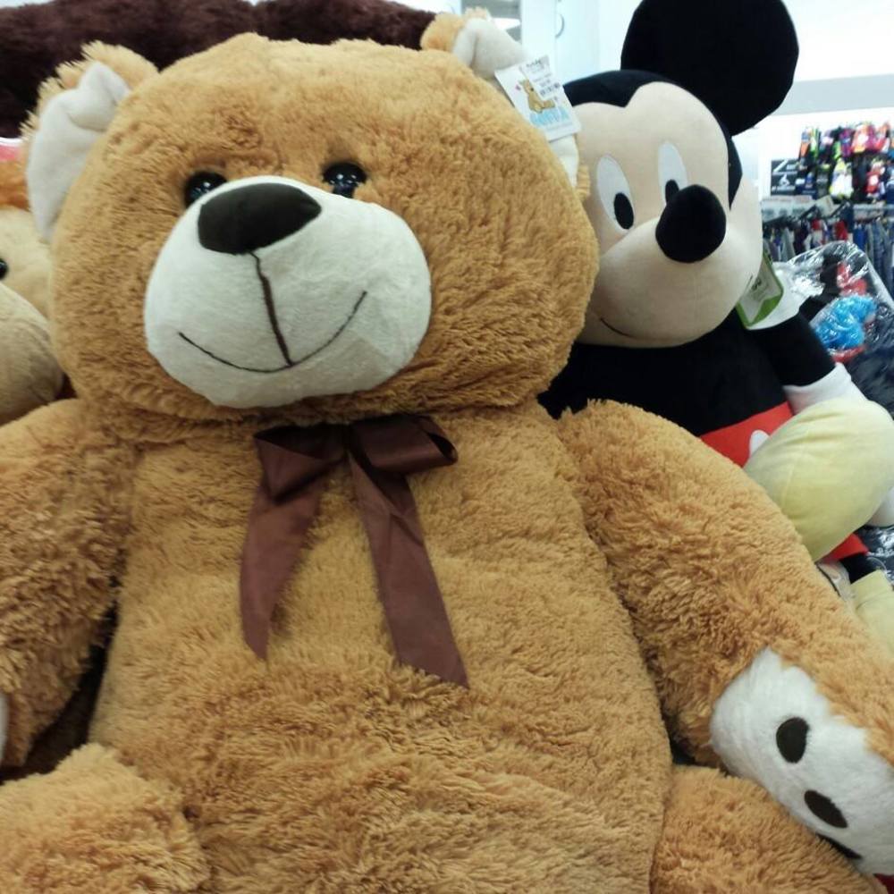 Meet your Posher, Lizette