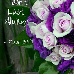 Meet your Posher, Lashea