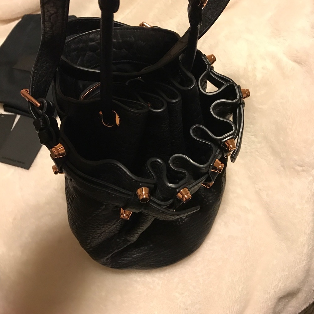 Alexander Wang Small Diego Rose Gold - Picture 3 of 7
