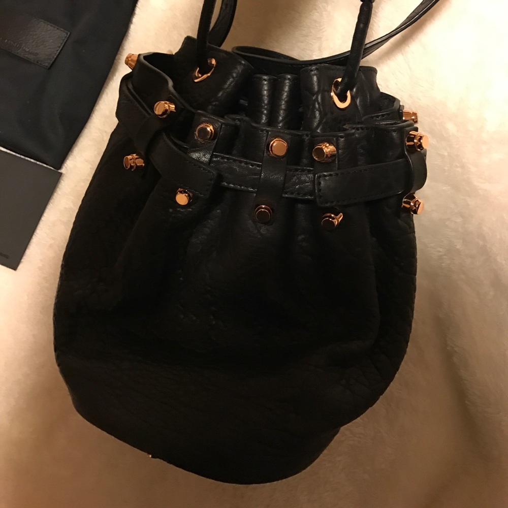 Alexander Wang Small Diego Rose Gold - Picture 4 of 7