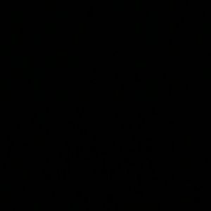 Meet your Posher, Hayley