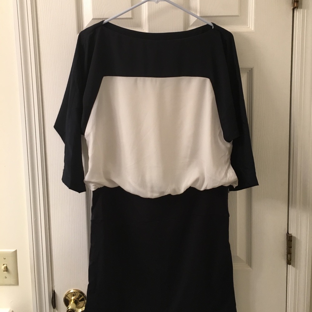 Navy and White Dress