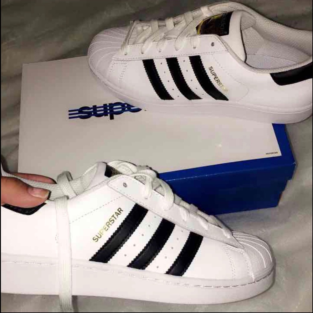 Adidas superstars | cshop