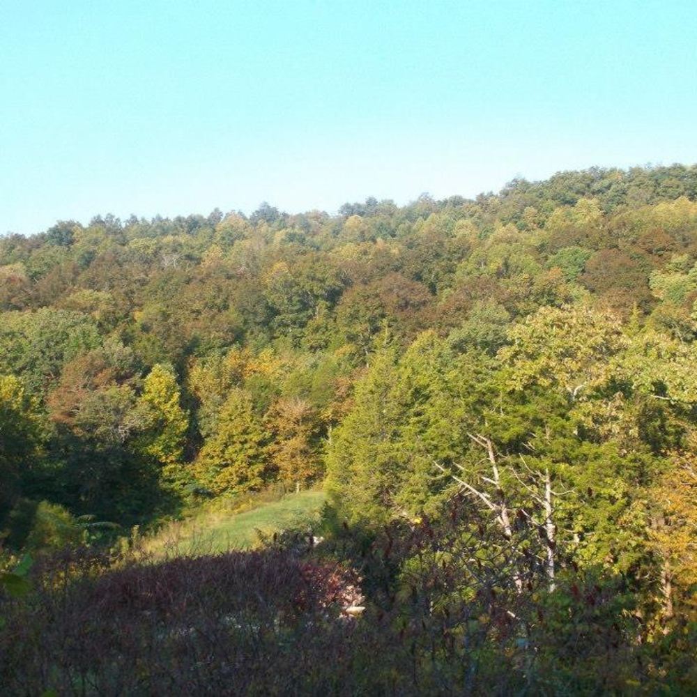 Meet your Posher, Meagon