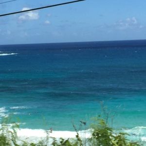 Meet your Posher, Deitra