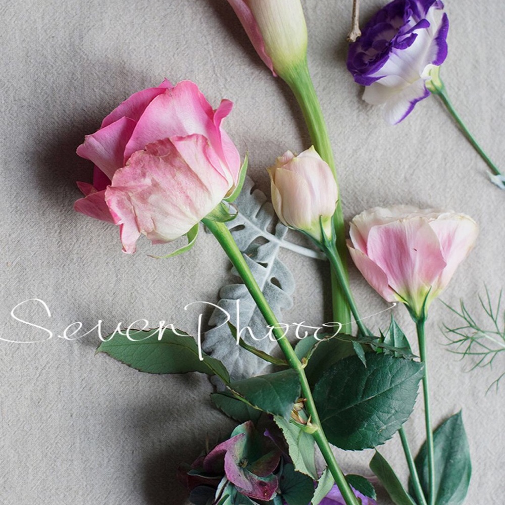 Meet your Posher, Wenjie