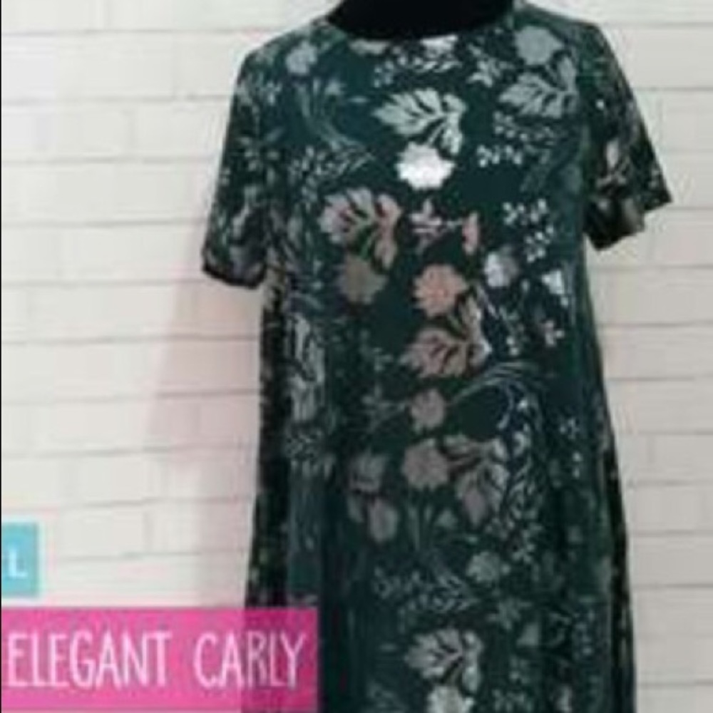 ELEGANT Large Carly NWT