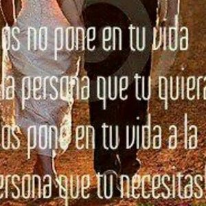 Meet your Posher, Sylvia