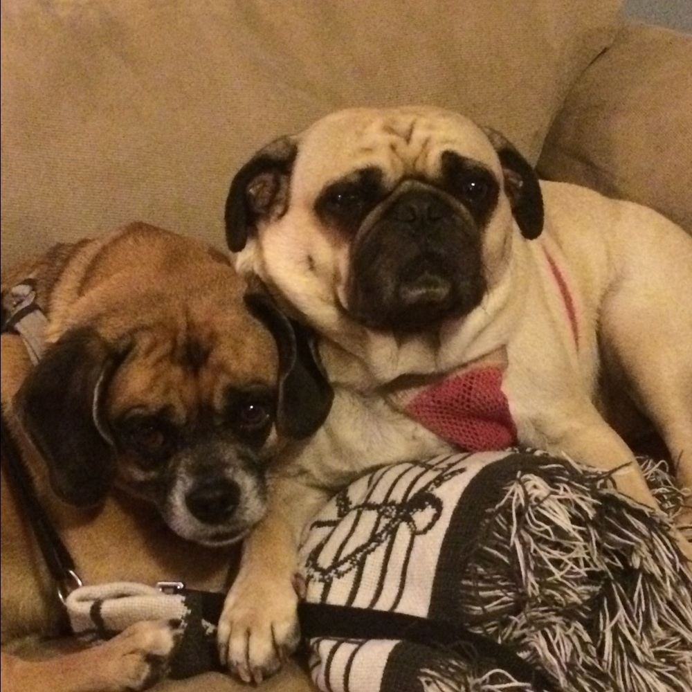 Meet your Posher, Melissa